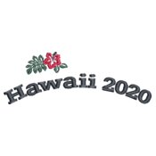 U55a_HatBack_Curved_Hawaii2020