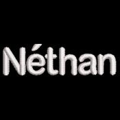 A12c_ShirtRightFront_Nethan_ACE